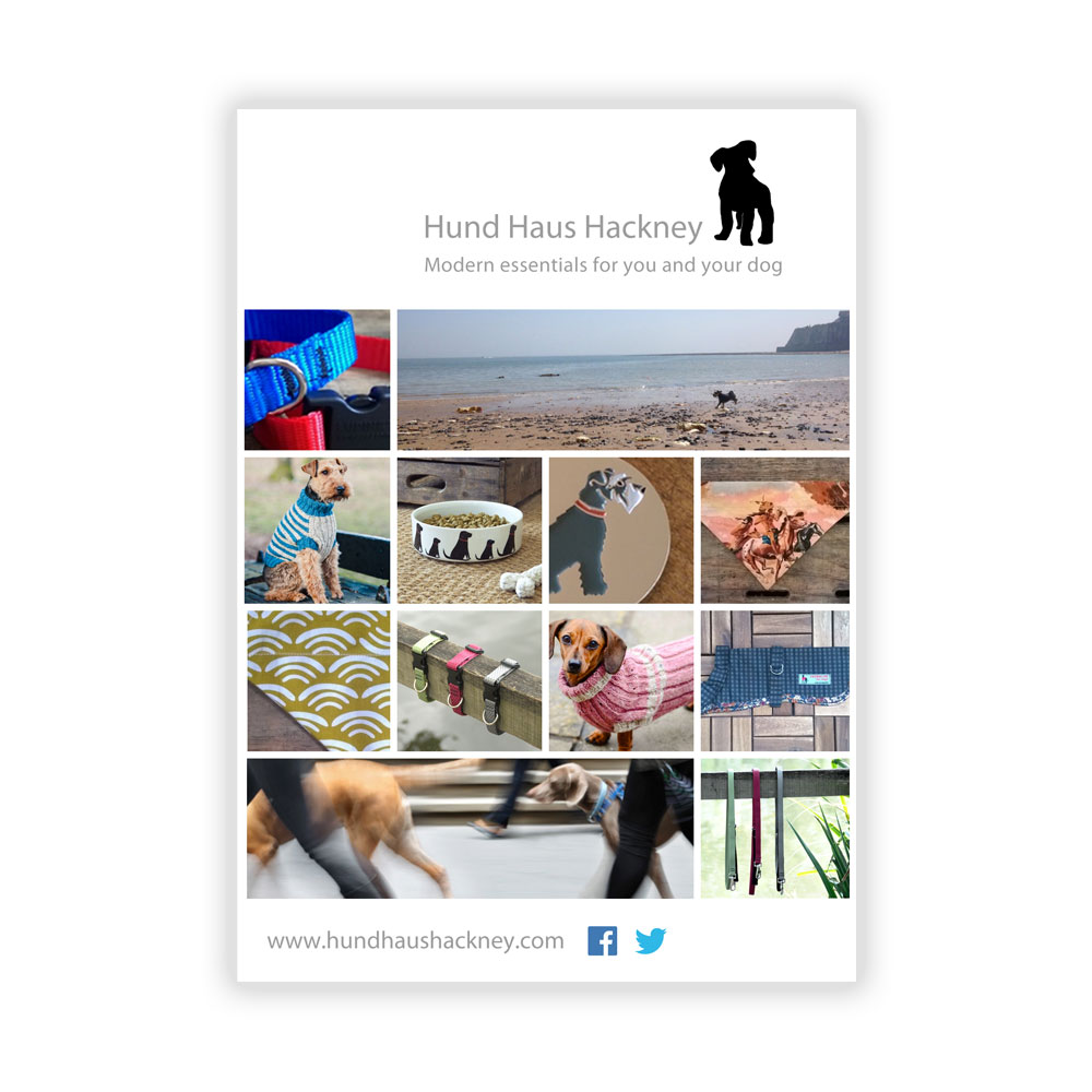 Diseño de Flyer por MustardMike para este proyecto | Diseño #4736036