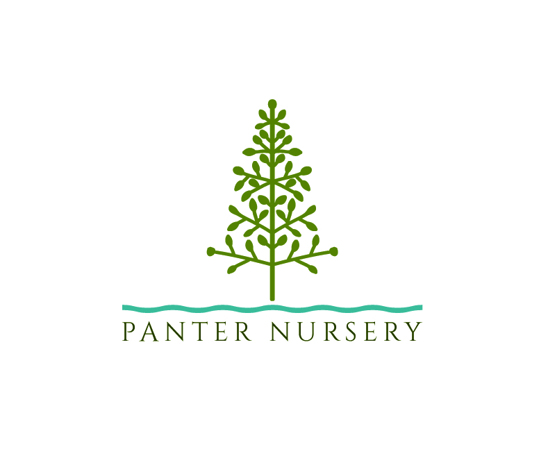 Logo-Design von Andreangles1 für dieses Projekt | Design #4681608