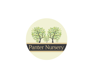 Panter Nursery | Logo Design by GT