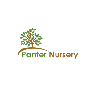 Logo Design by beniwalsuman for this project | Design #4682757