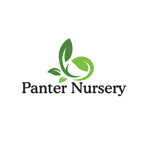 Logo-Design von beniwalsuman für dieses Projekt | Design #4682758