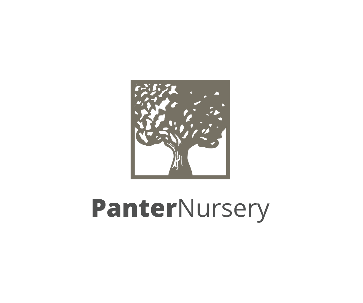 Logo-Design von studio-sfp.com für dieses Projekt | Design #4683754