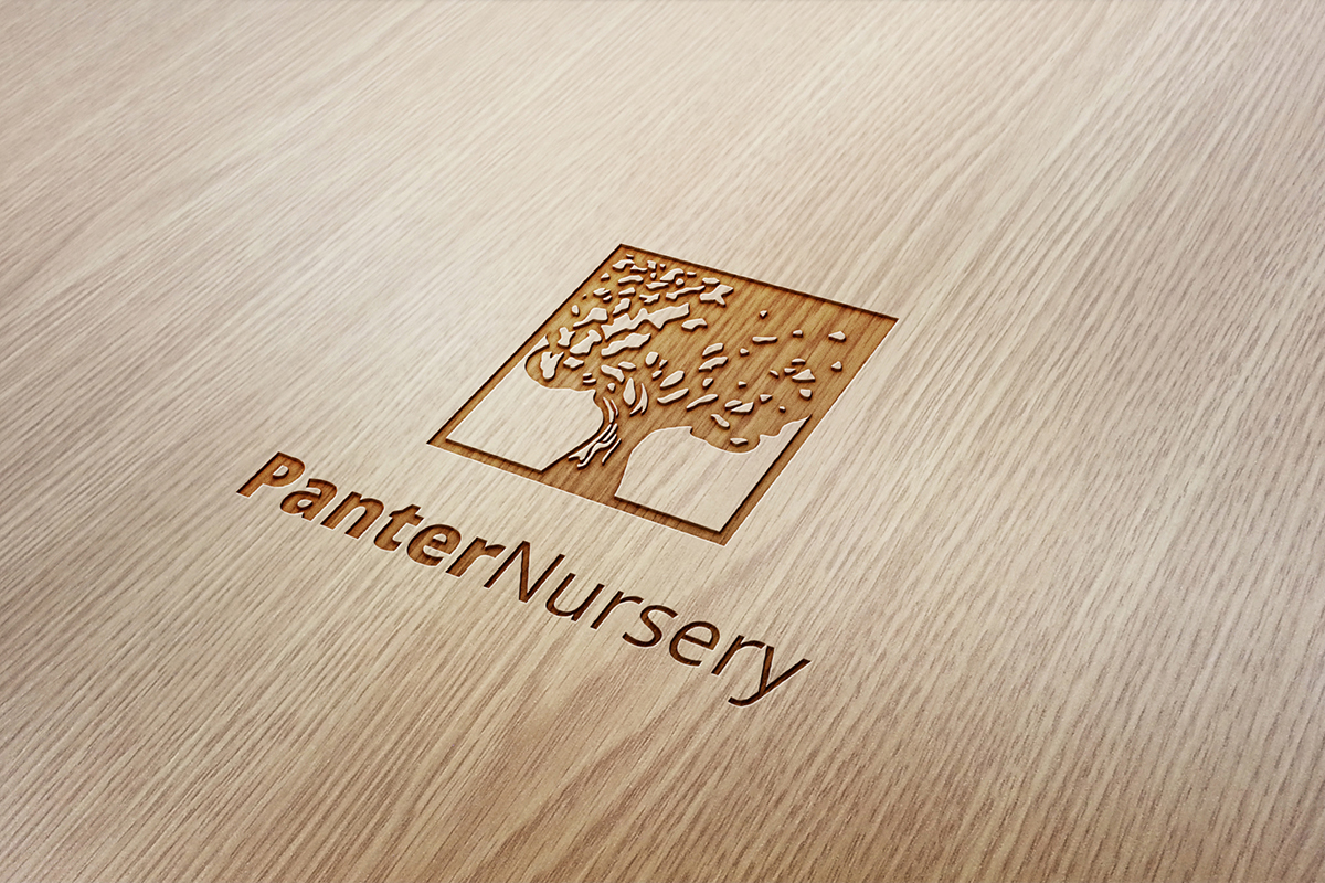 Logo-Design von studio-sfp.com für dieses Projekt | Design #4683759