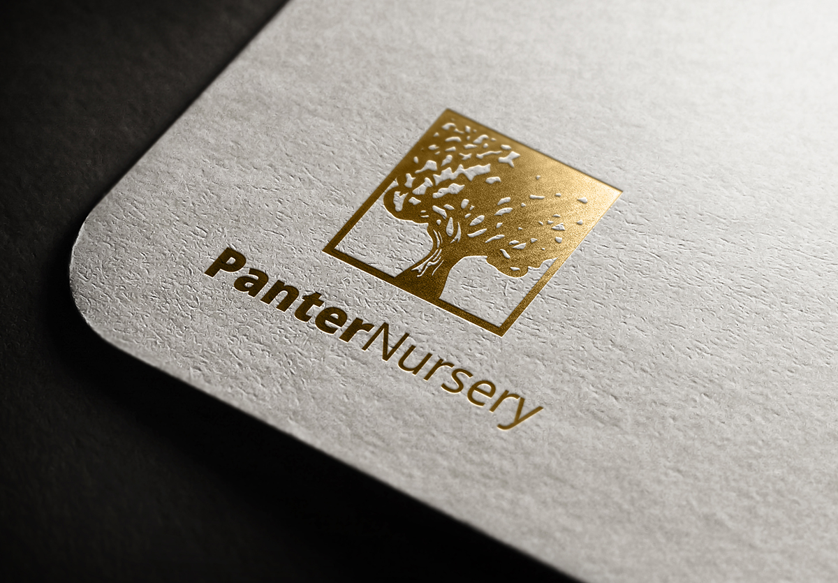 Logo-Design von studio-sfp.com für dieses Projekt | Design #4683766