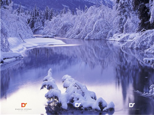 Logo Design by Fifoconsult for this project | Design: #1359017