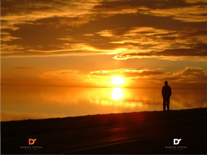 Logo Design by Fifoconsult for this project | Design: #1359024