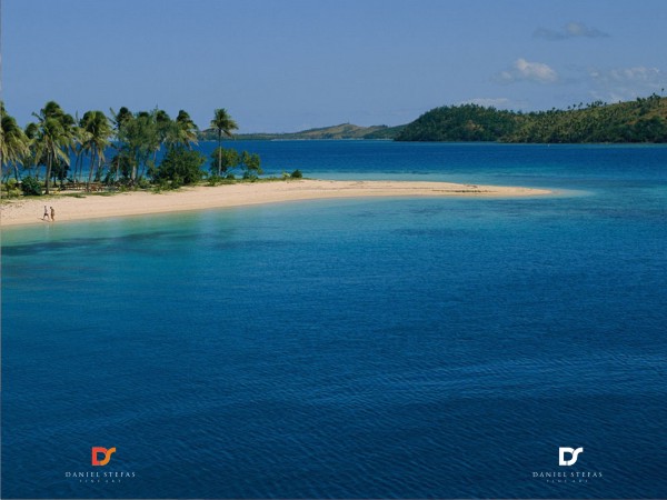 Logo Design by Fifoconsult for this project | Design #1359027