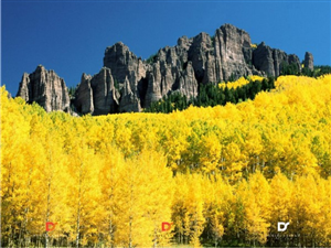 Logo Design by Fifoconsult for this project | Design: #1359037