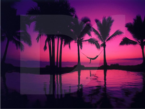 Logo Design by Fifoconsult for this project | Design: #1359053