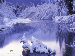 Logo Design by Fifoconsult for this project | Design: #1364984