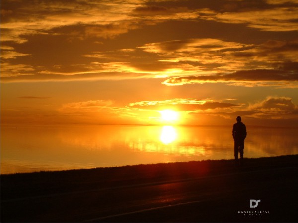 Logo Design by Fifoconsult for this project | Design #1365007