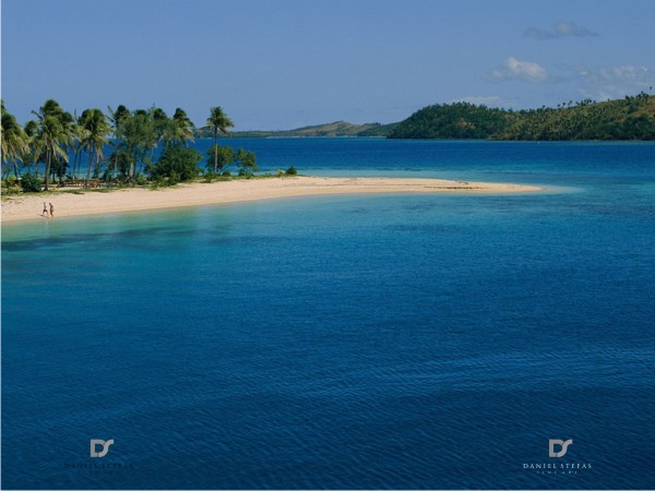 Logo Design by Fifoconsult for this project | Design #1365008