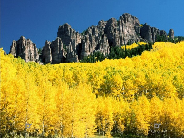 Logo Design by Fifoconsult for this project | Design #1365021