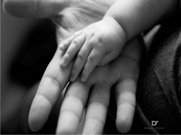 Logo Design by Fifoconsult for this project | Design #1365403