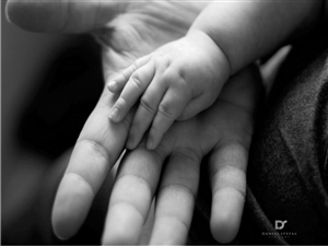 Logo Design by Fifoconsult for this project | Design: #1365403