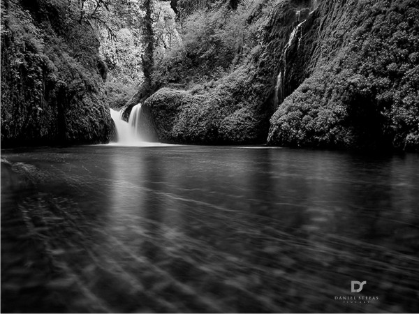 Logo Design by Fifoconsult for this project | Design #1365413