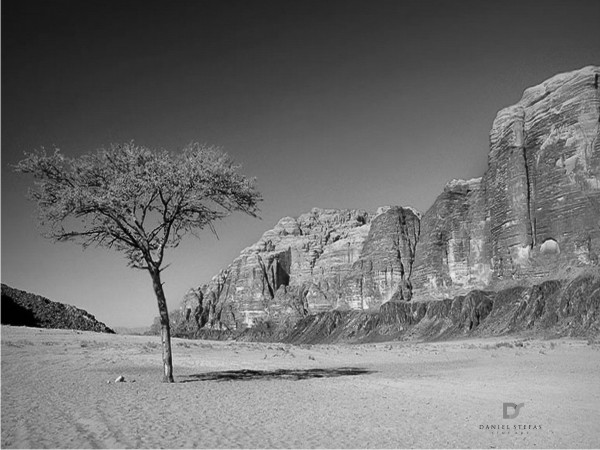 Logo Design by Fifoconsult for this project | Design #1365417