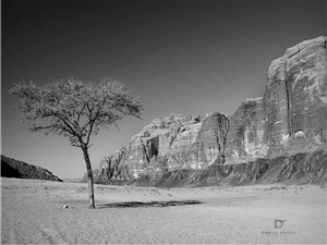 Logo Design by Fifoconsult for this project | Design: #1365417