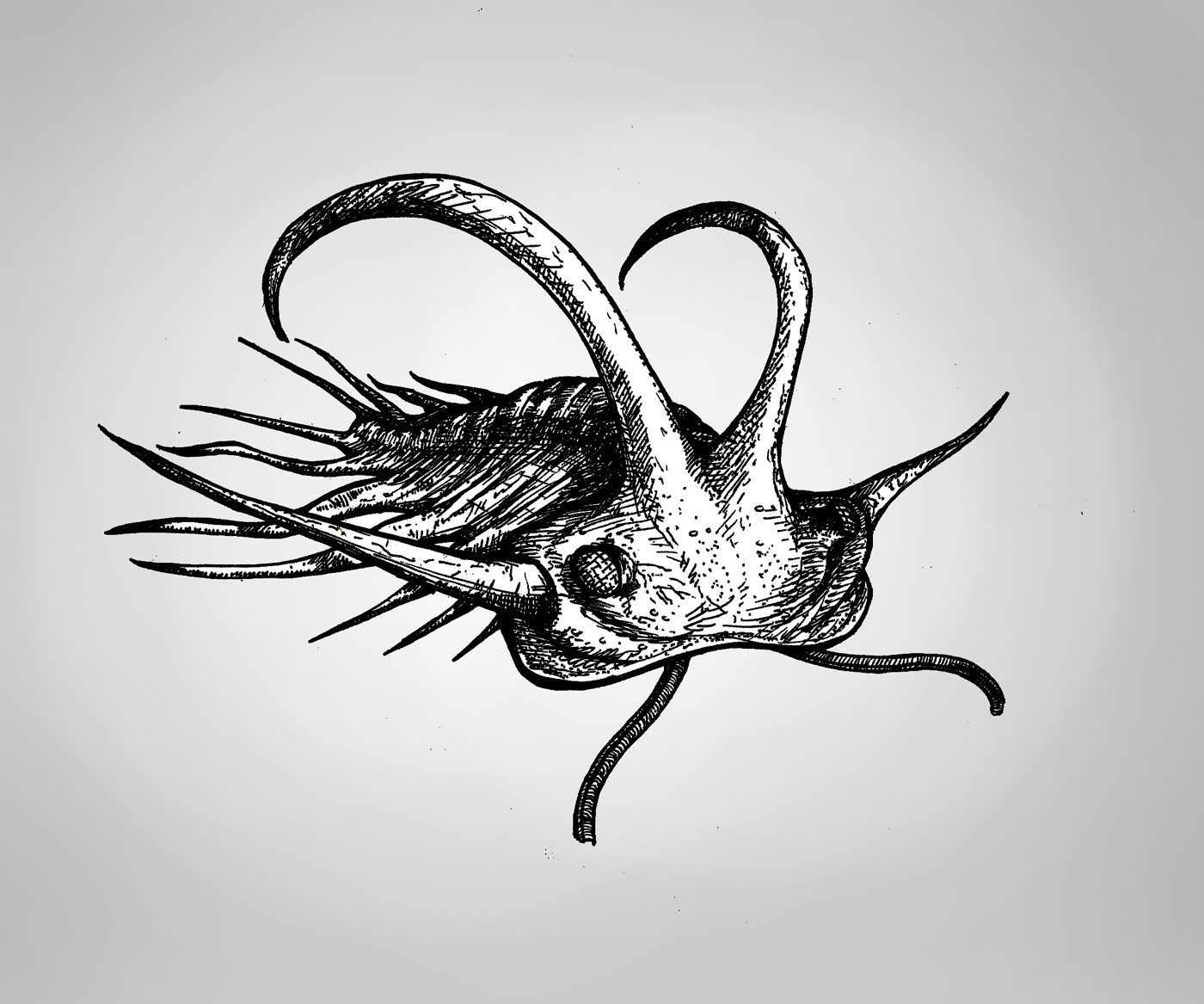 Logo-Design von Jason Vantran für dieses Projekt | Design #1330102