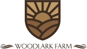 Logo Design by Digital Flow for this project | Design #4746593