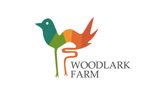 Logo Design by dongkrak studio for this project | Design #4711145