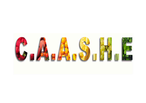 Logo Design by Rivye