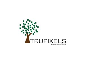 Logo Design by Narayanan B for this project | Design: #4728650