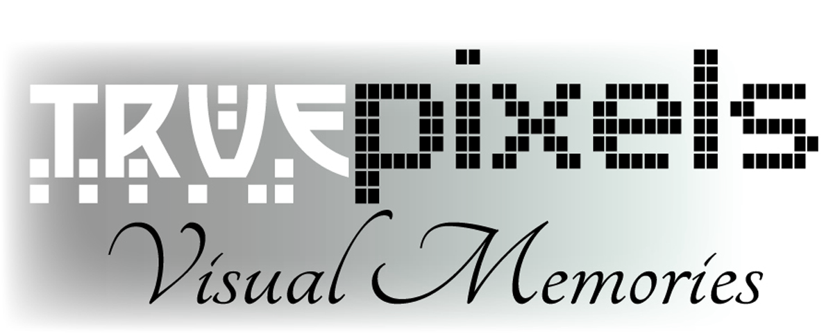 Design de Logo par arche97 pour ce projet | Design #4715803