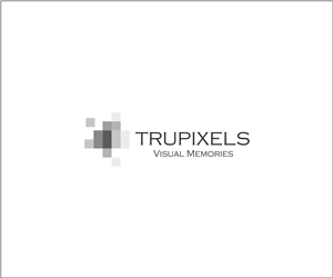 Logo Design by Artist.Jaswinder for this project | Design: #4864137