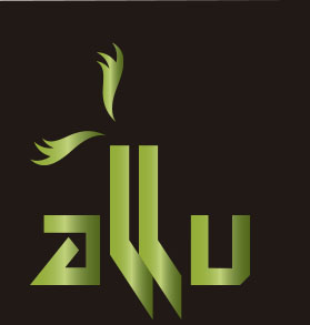 Logo Design by ceide