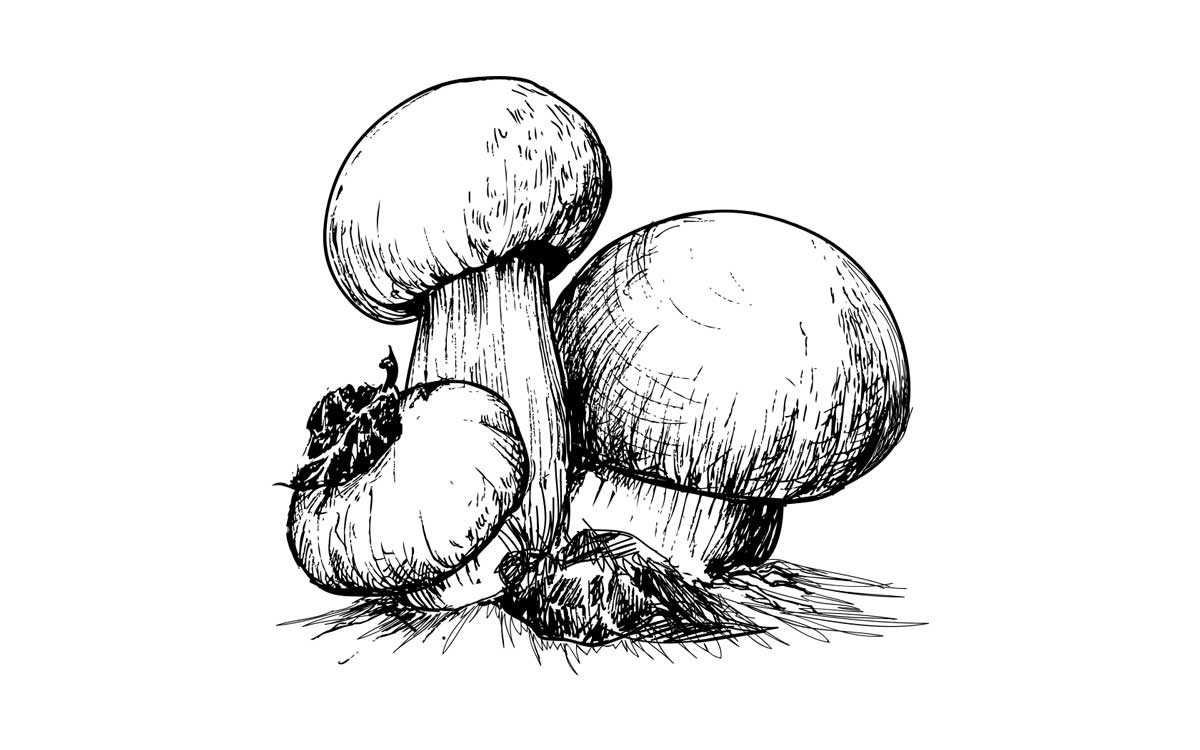 Design Graphique par Haris H. pour ce projet | Design #4724630