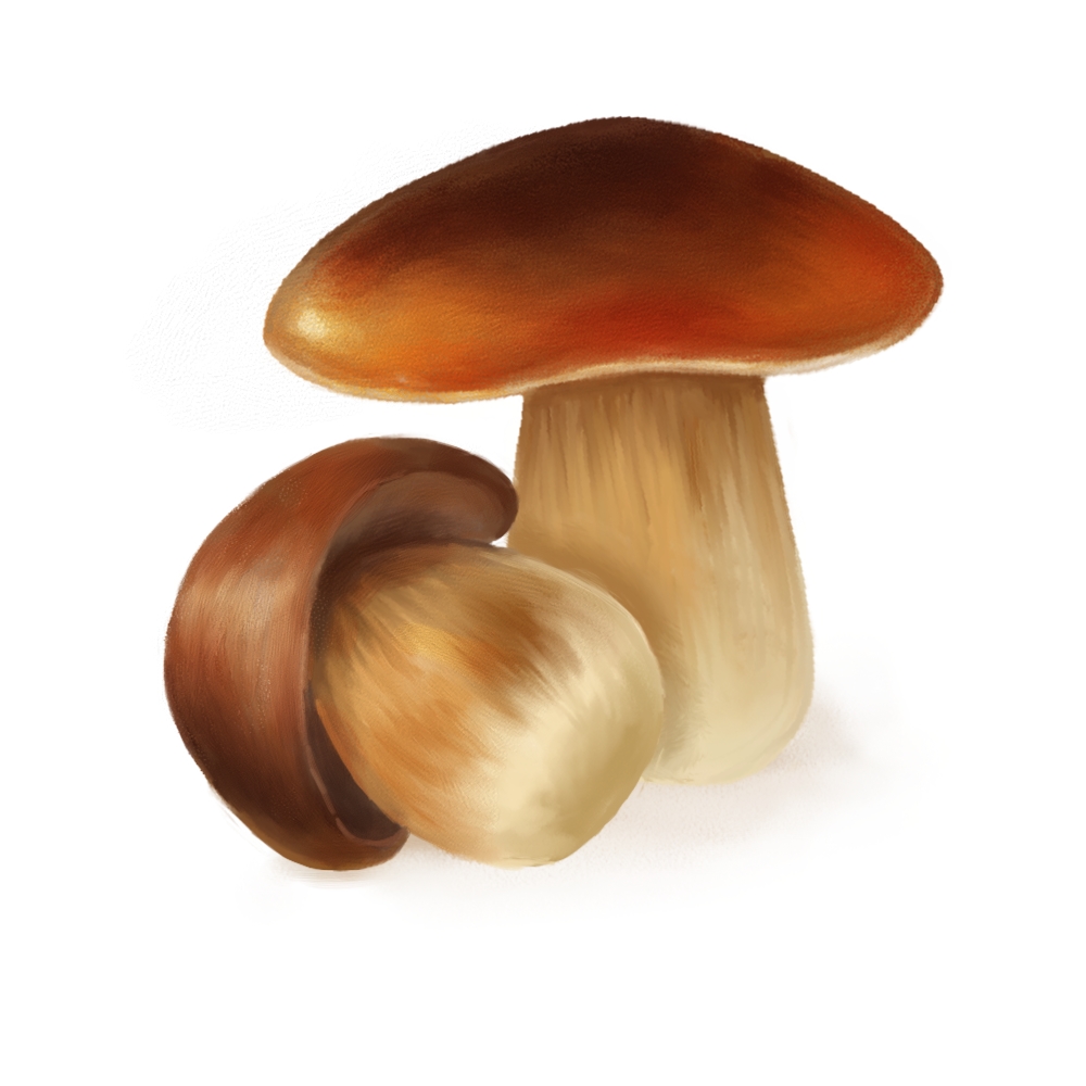 Design Graphique par Veronika K. pour ce projet | Design #4742638