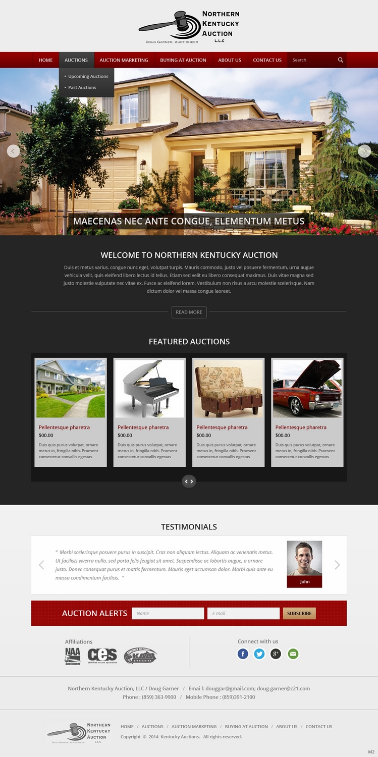 Wordpress Design by pb for AuctionServices.com, Inc. | Design #4742945