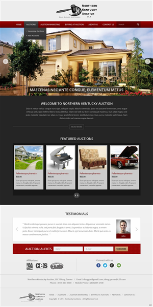 Wordpress Design by pb for AuctionServices.com, Inc. | Design: #4742945