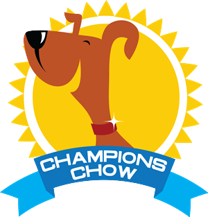 Logo Design by Mudassir Khan