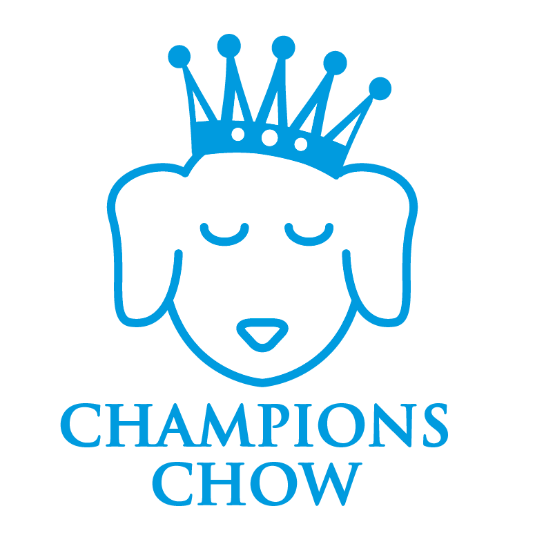 Logo Design by PlanB for this project | Design #1331685