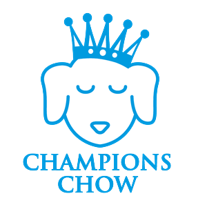 Logo Design by PlanB for this project | Design #1331685