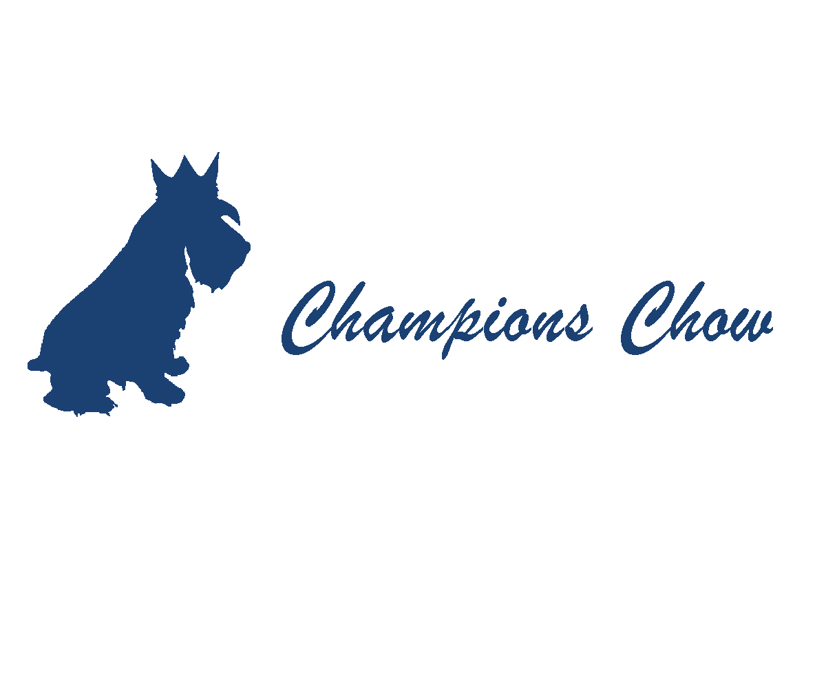 Logo Design by Conrad for this project | Design #1331931