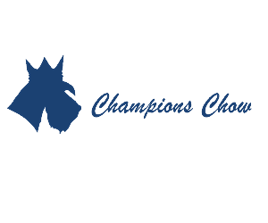 Design de Logo par Conrad pour ce projet | Design : #1331937