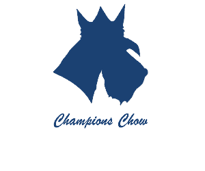 Design de Logo par Conrad pour ce projet | Design : #1331939