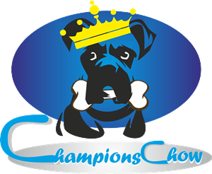 Logo Design by Ryan
