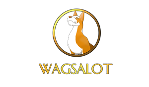 Logo Design by Med Mack