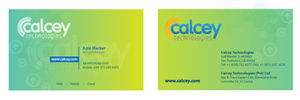 Business Card Design by veeru1982