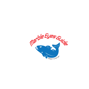 Logo Design by aly.kashf