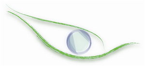 Logo-Design von joaskawie für dieses Projekt | Design: #1333857