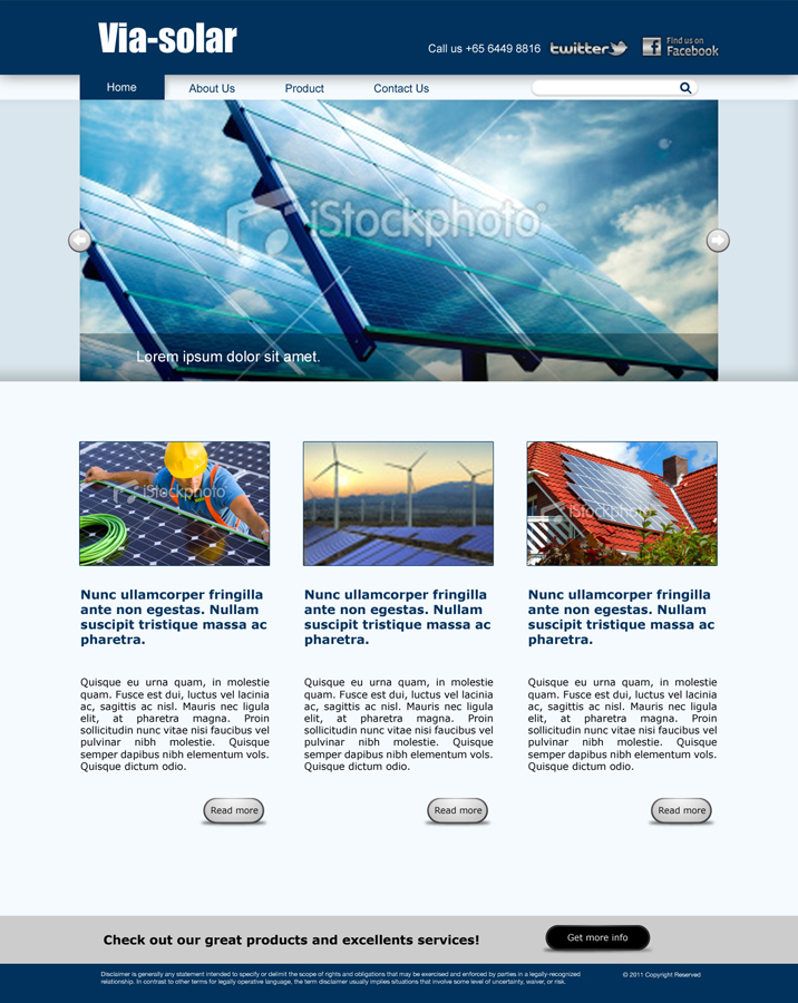 Web Design by Fen21 for this project | Design #221318