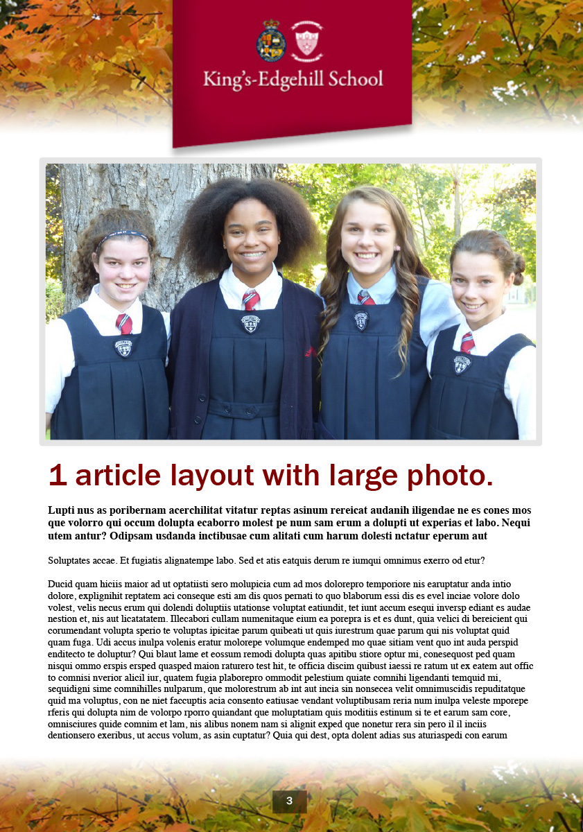 Design Graphique par jodibeale pour More in Store | Design #4729954