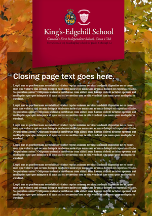 Design Graphique par jodibeale pour More in Store | Design : #4730039