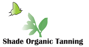 Logo Design by salekimam