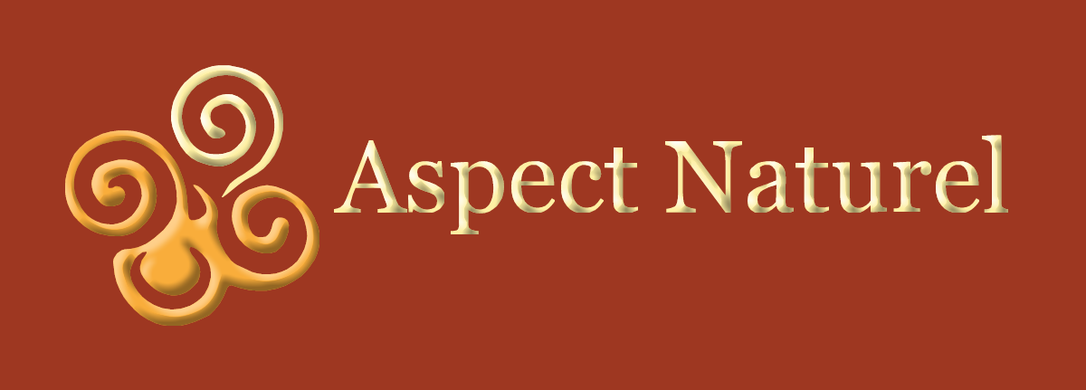 Diseño de Logo por dwi purnomo para este proyecto | Diseño #4707189